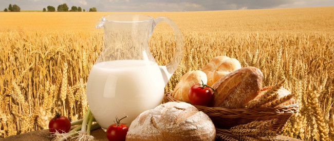 Обои картинки фото еда, натюрморт, хлеб, молоко, томаты, помидоры, колоски