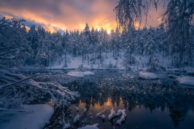 Обои картинки фото природа, реки, озера, norway, норвегия, ringerike, norwegian, woods