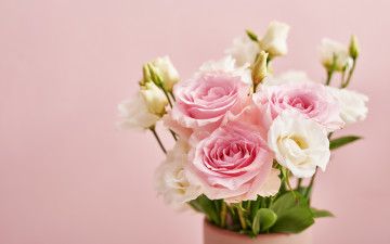 обоя цветы, разные вместе, фон, розовый, розы, букет, эустома