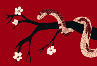 Картинка векторная+графика животные+ animals ветка цветы змея