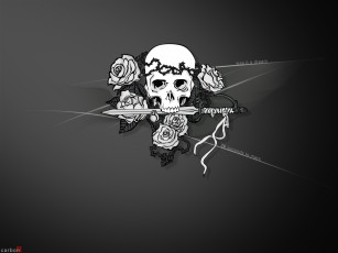 обоя аниме, air, gear, череп, розы, меч, шипы