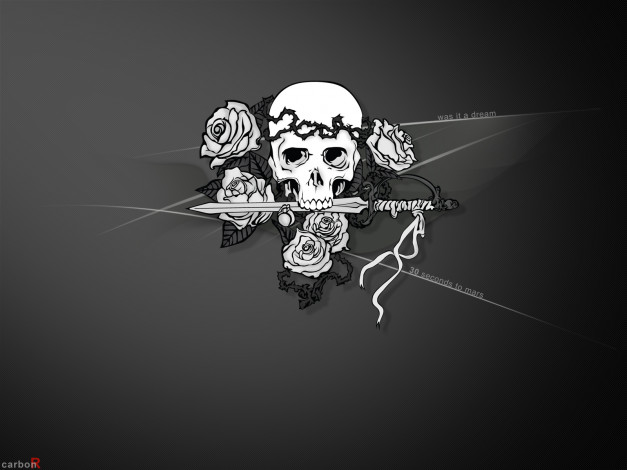 Обои картинки фото аниме, air, gear, череп, розы, меч, шипы