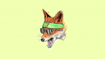 Картинка рисованные животные лисы лиса очки минимализм