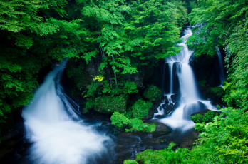 Картинка природа водопады лес поток вода