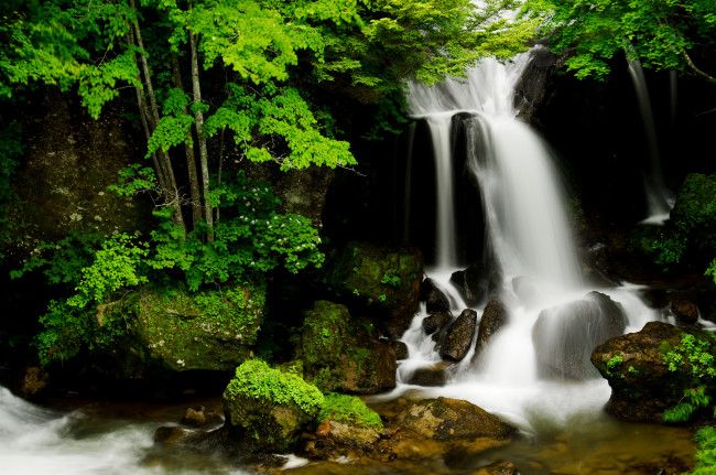 Обои картинки фото природа, водопады, поток, лес, вода, зелень, камни