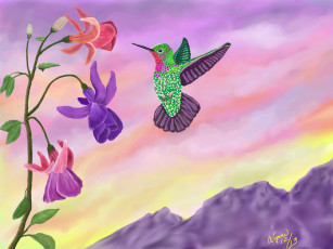 Картинка рисованные животные +птицы колибри цветы