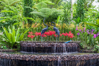Картинка сад+орхидей+в+сингапуре природа парк кусты скульптуры фонтан орхидеи сингапур сад