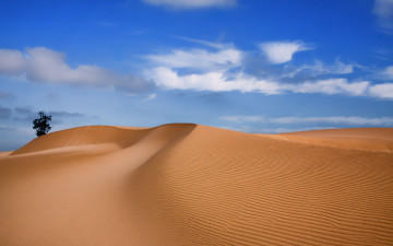 Картинка природа пустыни пейзаж небо песок