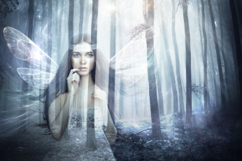 Картинка фэнтези фотоарт крылья взгляд фон девушка лес