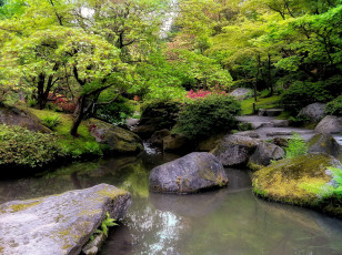 Картинка природа парк японский садик камни