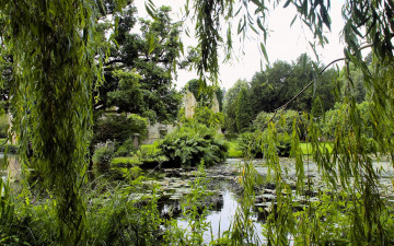 Картинка природа парк пруд