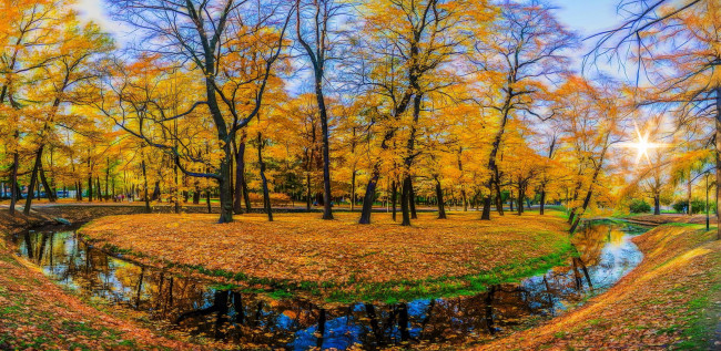 Обои картинки фото природа, парк, водоем, осень, листопад