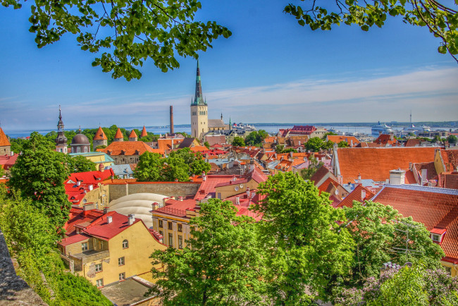 Обои картинки фото old town,  tallinn,  estonia, города, таллин , эстония, простор