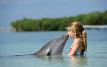 Картинка разное люди девочка дельфин море