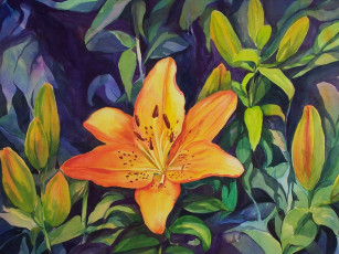 Картинка рисованные цветы лилия