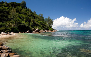 Картинка природа побережье растительность пляж бухта море