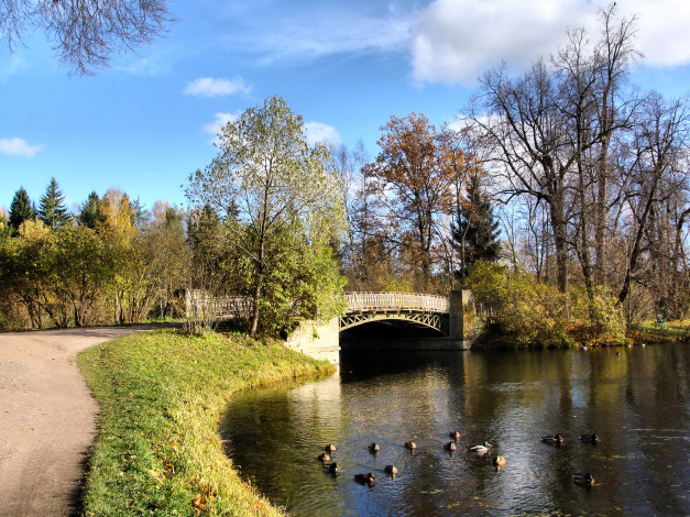 Обои картинки фото санкт, петербург, павловск, олений, мост, природа, парк, санкт-петербург, река