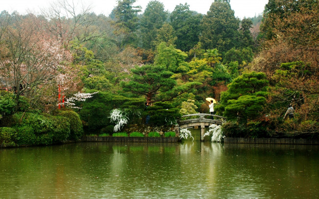 Обои картинки фото природа, парк, Япония, пруд, мостик, деревья, цветы