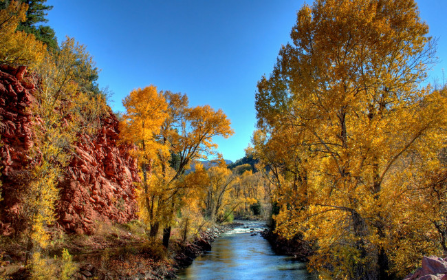 Обои картинки фото природа, реки, озера, осень, листья, желтые, деревья, река