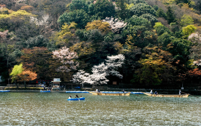 Обои картинки фото природа, реки, озера, склон, озеро, Япония, лес, лодки, отдых
