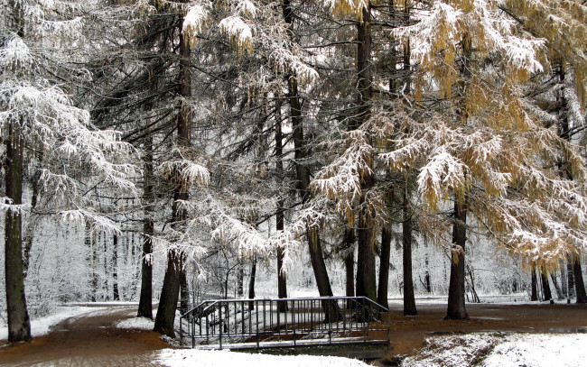 Обои картинки фото природа, зима, парк, мост, деревья, снег