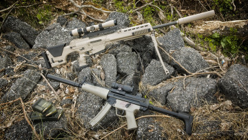Картинка оружие винтовки прицеломприцелы снайперская винтовка hk mp5a3-f камни трава обоймы psgпистолет-пулемет