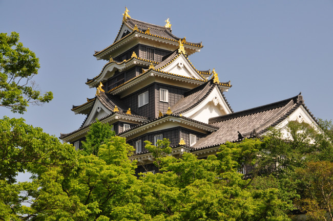 Обои картинки фото okayama castle, города, замки Японии, пагода