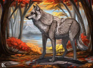 обоя рисованное, животные,  волки, волк, лес