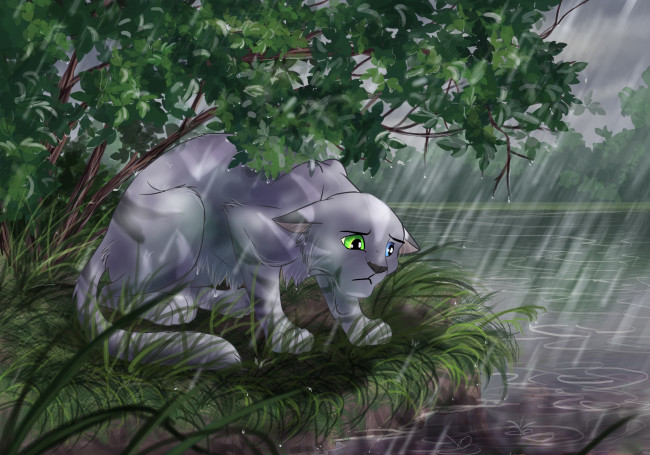 Обои картинки фото рисованное, животные,  коты, кот, лес, река, дождь