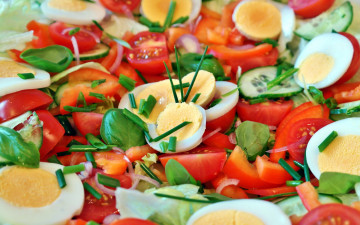 Картинка еда салаты +закуски лук базилик яйца помидоры
