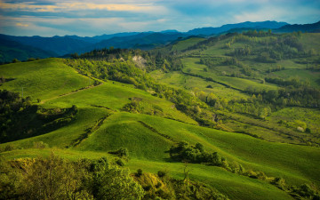 Картинка природа пейзажи италия тоскана tuscany поля луга холмы деревья зелень трава