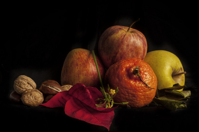 Обои картинки фото еда, натюрморт, орехи, фрукты