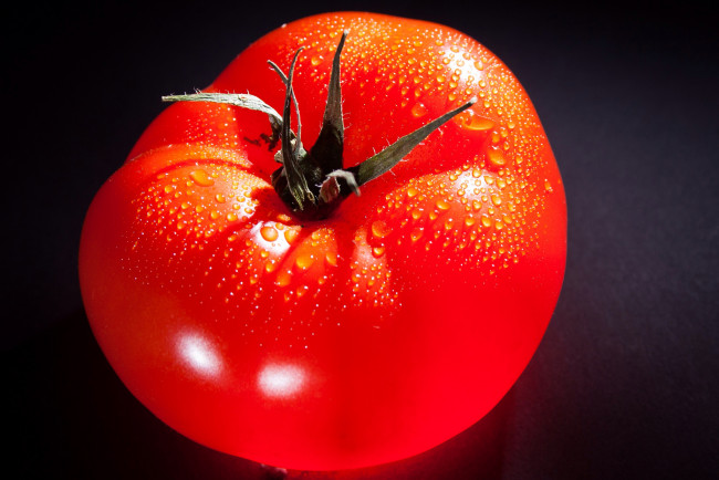 Обои картинки фото еда, помидоры, томат