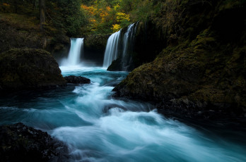 Картинка природа водопады поток деревья лес вода водопад