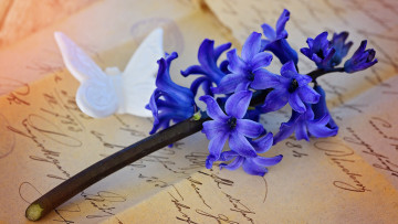 Картинка цветы глициния ретро гиацинт фон фигурка письмо почерк композиция гиацинты бабочка