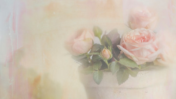 Картинка цветы розы растворение арт пастельные тона художественная обработка размыто композиция листья фон букет светлый дымка бутоны горшок нежно
