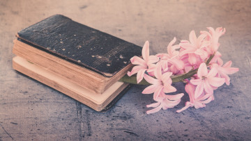 Картинка разное канцелярия +книги композиция натюрморт гиацинты веточка цветы ретро фон книга