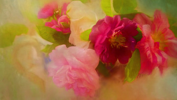 Картинка разное компьютерный+дизайн ярко розовые букет яркие живопись алые розы лепестки рисунок шиповник бутоны зеленый фон арт размыто композиция цветы растворение