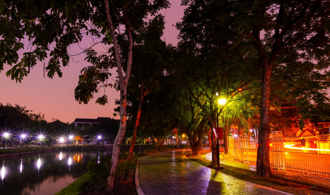 Обои картинки фото таиланд, города, - огни ночного города, фонари, аллея, деревья