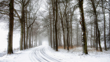 Картинка природа дороги деревья зима снег