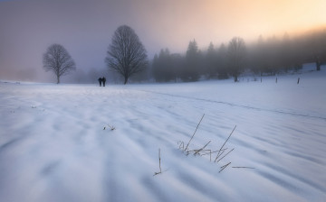Картинка природа зима снег прогулка утро туман