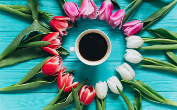 Картинка еда кофе +кофейные+зёрна с чашкой на голубом фоне букет тюльпанов