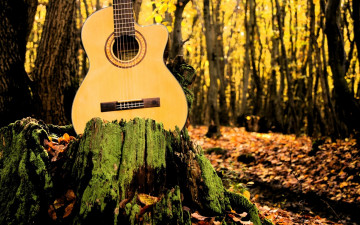 обоя музыка, -музыкальные инструменты, деревья, природа, гитара