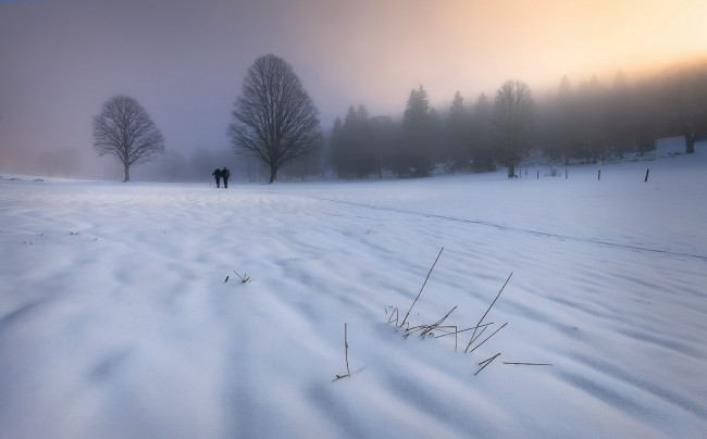 Обои картинки фото природа, зима, снег, прогулка, утро, туман
