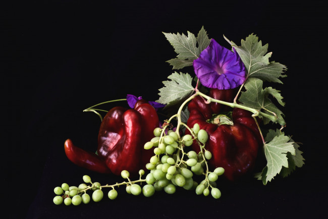 Обои картинки фото еда, натюрморт, перец, виноград, вьюнок