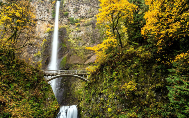 Обои картинки фото multnomah falls, oregon, природа, водопады, multnomah, falls