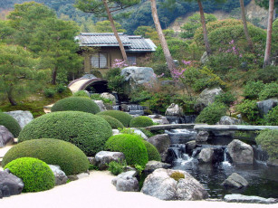 Картинка природа парк япония сад