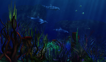Картинка 3д графика sea undersea море дельфины