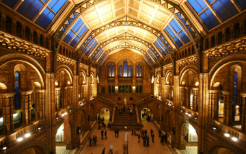 Картинка natural history museum london интерьер дворцы музеи англия музей