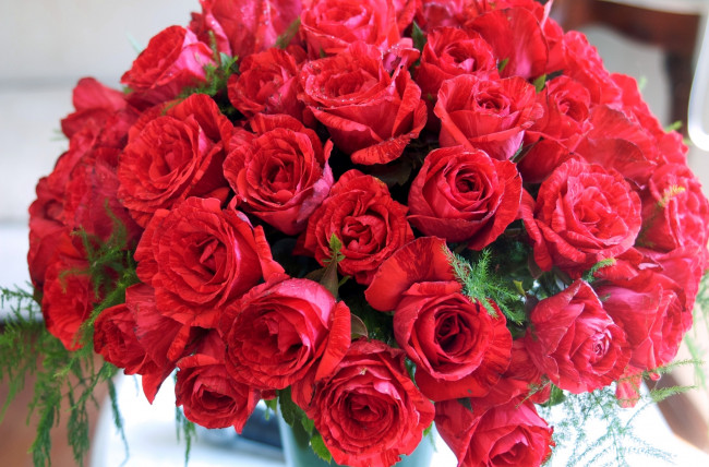 Обои картинки фото цветы, розы, красный, букет
